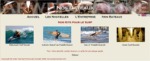 Kits for the Surf