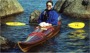 Guillemot de Guillemot