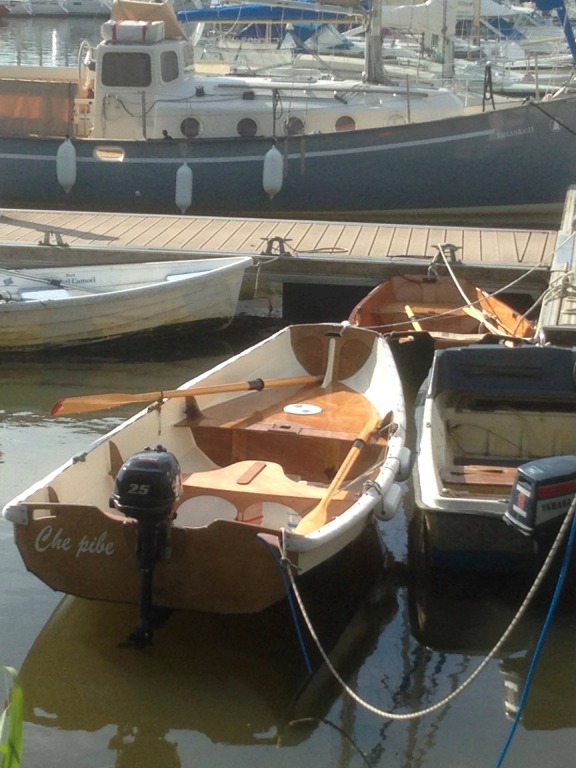 Les deux bateaux sont utilisés comme annexe par leur propriétaire respectif. La photo a été faite à Arzal, à l'embouchure de la Vilaine. 