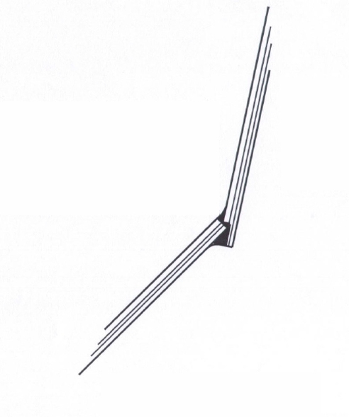 Joint