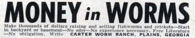 Money in worms !