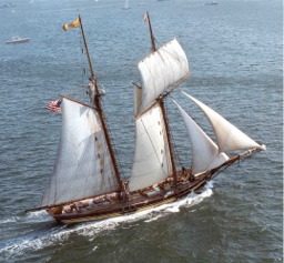 Pride of Baltimore au près. Remarquez comme le hunier est brassé pour le près.