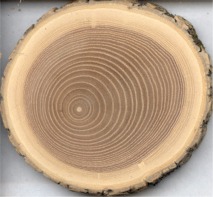 Cercles de croissance