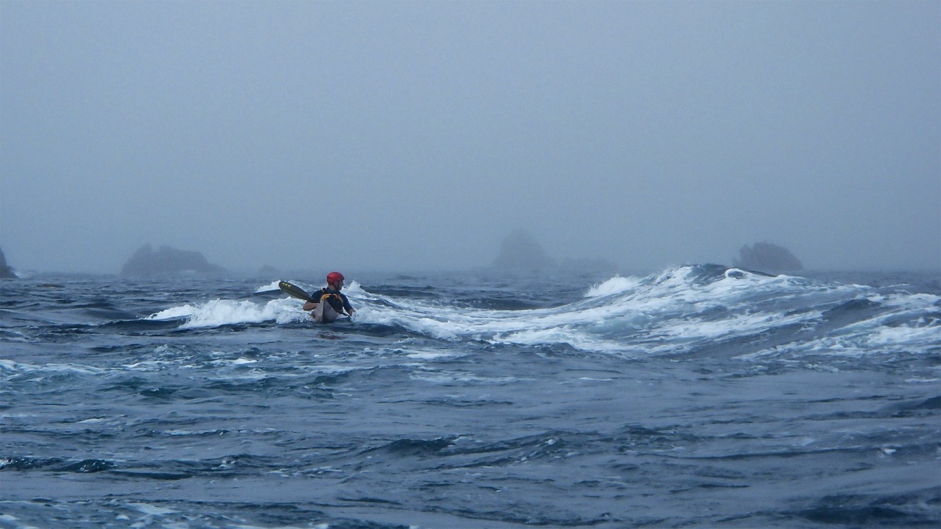 Mais o&ugrave; sont tous les autres Shearwaters ? 