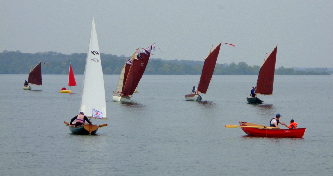 Le Skerry "L'Odet", le kayak à voile "Merzin" de Francis, venu lui aussi de Belgique, la Yole de Chester "Atipik" de Pierre (mais on dirait que c'est Didier qui est à la barre), le Pirmil "Thema", aussi de Pierre (c'est peut-être là qu'il est donc) dissimulant "La Marie Pupuce", "Gandalf", "Truk" et "Bahari". 