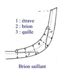 Brion