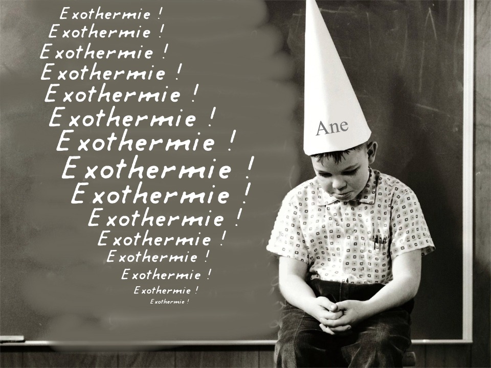 Petit d&eacute;tail, j'ai oubli&eacute; que la polym&eacute;risation de l'&eacute;poxy causait un important d&eacute;gagement de chaleur (oui, vous avez devin&eacute;, on appelle &ccedil;a l'exothermie), et que le polystyr&egrave;ne expans&eacute; se liqu&eacute;fie quand on l'expose &agrave; une chaleur intense.... 