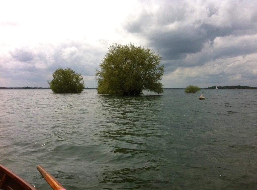 Je peux affirmer avec certitude que le rassemblement Arwen Marine est le seul rassemblement voile-aviron au monde pendant lequel on peut aller virer autour d'un bosquet ! 