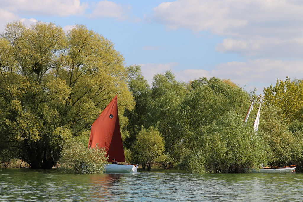 "Monette" joue &agrave; cache-cache avec les Seils. 