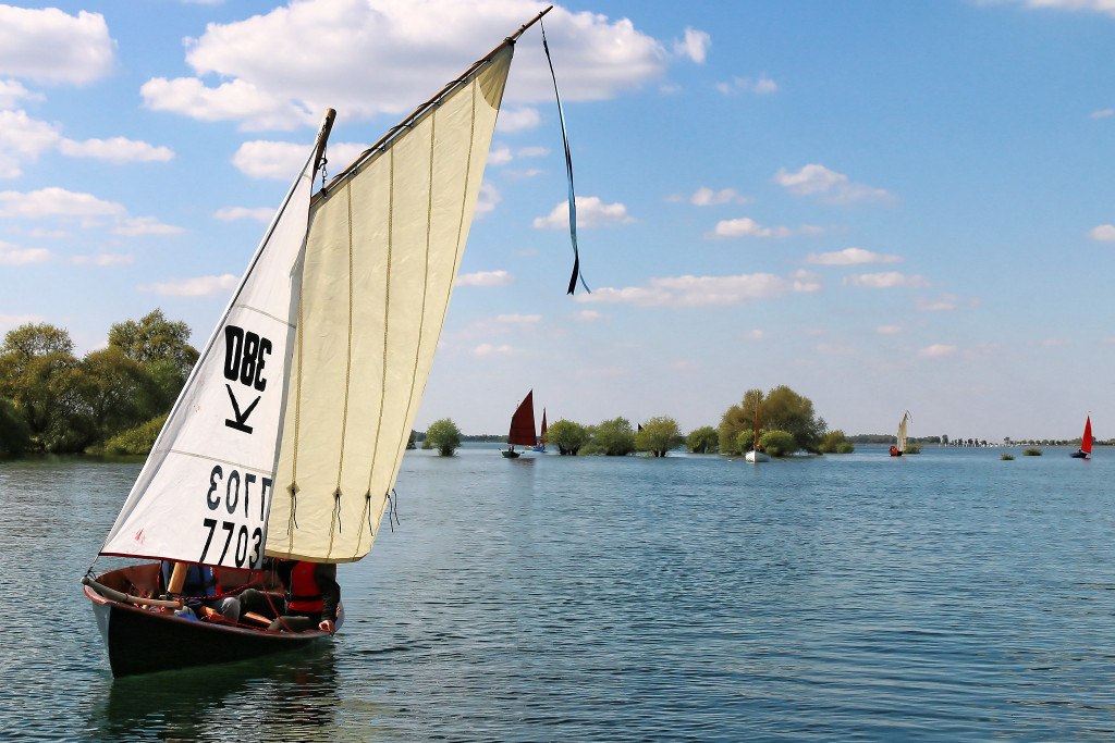 Seulement sur un lac ! "Aldies II" devant une partie de la flottille passant entre et autour des buissons. 