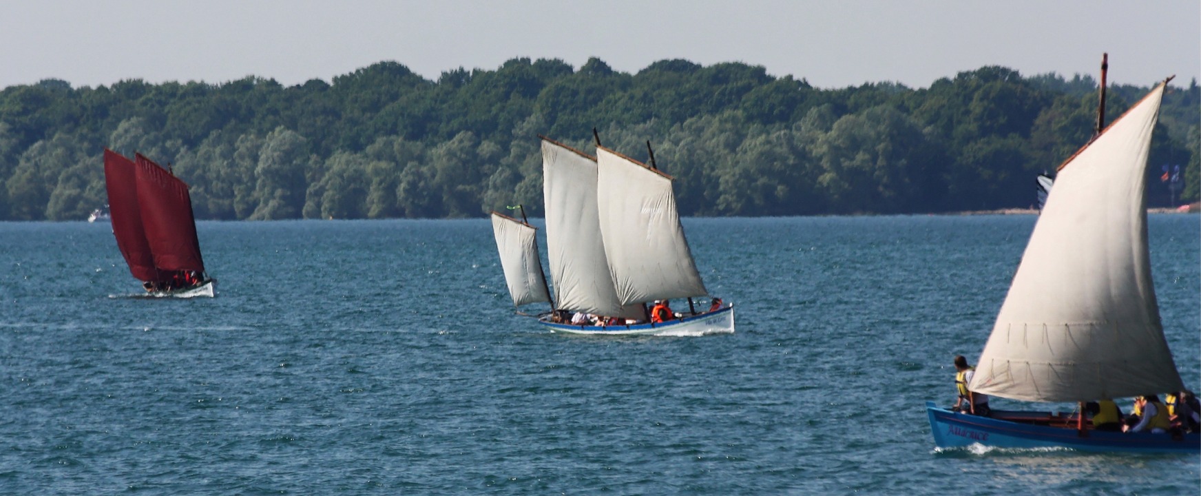 J'ajoute cette magnifique image des Yoles de Bantry prise par Ronan pour conclure sa s&eacute;rie. Ronan nous dit qu'il a du jongler pour &eacute;viter d'avoir des p&eacute;dalos sur ses images (on en voit quand-m&ecirc;me un ou deux !) Bravo pour ces superbes images. 
