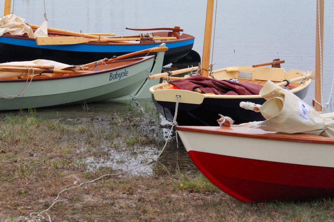 "Babyole", "Tournepierre", "Cotentin" et "Ilyva".