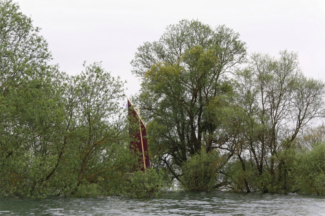 "Gandalf" joue à cache-cache dans les arbres : je prends un raccourci par dessus ce qui est normalement une pointe boisée, mais le niveau du lac d'Orient est presque à la cote maximale et une bonne partie de la végétation des berges ne craint plus la sécheresse pour le moment. 