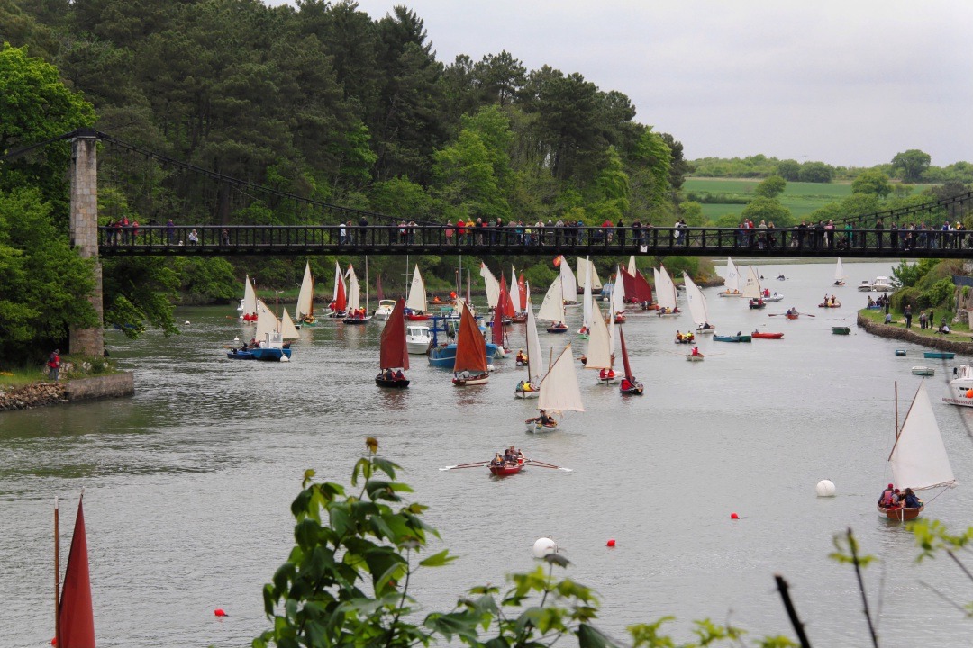 Magnifique panorama sur la flottille voile-aviron. 