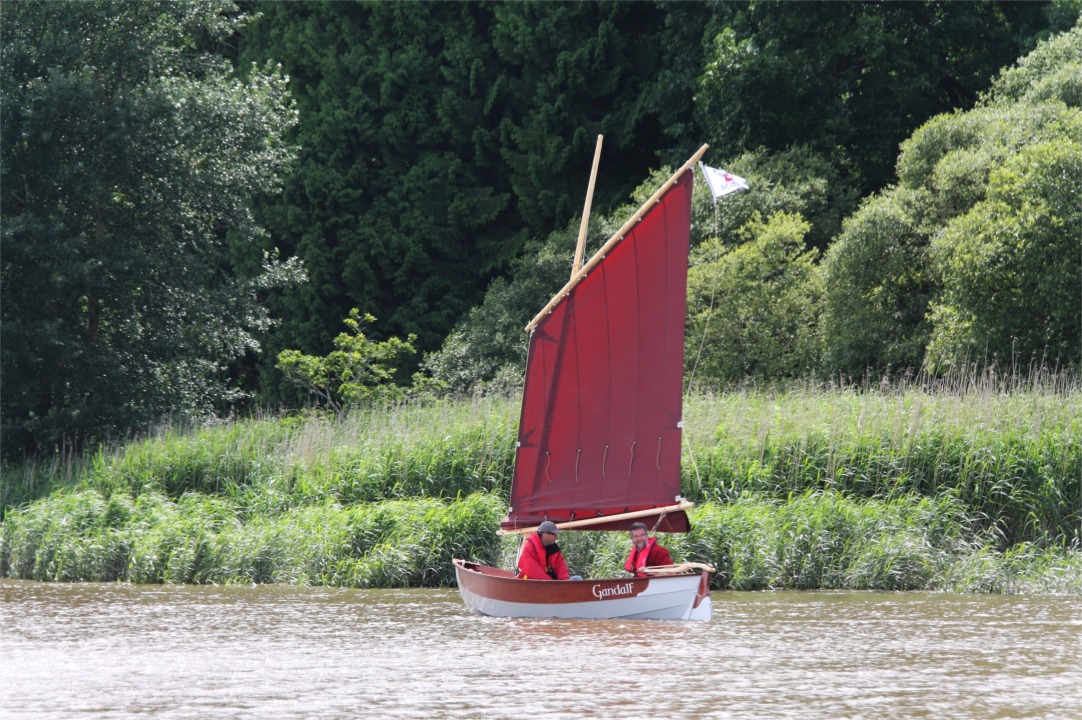 Jolie image de "Gandalf" sur un arri&egrave;re-plan de verdure. 
