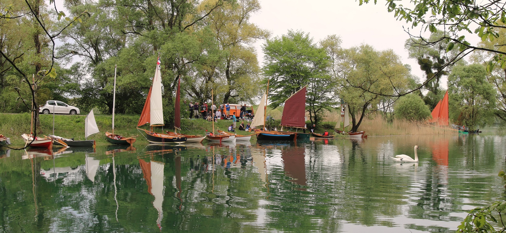 Sc&egrave;ne champ&ecirc;tre avec cygne.