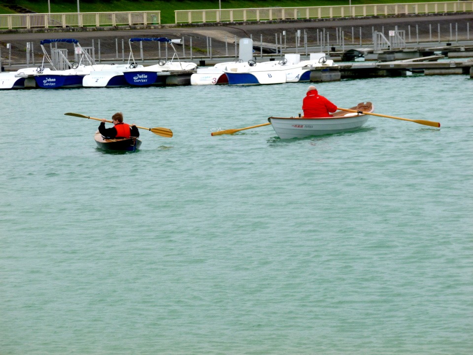 Le Wood Duck 12 Hybride "Capitaine Haddock" croise "Paprika". 