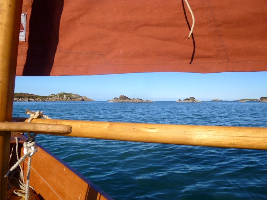 Christian &eacute;crit : "Hier en baie de Morlaix avec un copain ... Rencontr&eacute; un phoque avec un poisson en travers de la gueule !" 