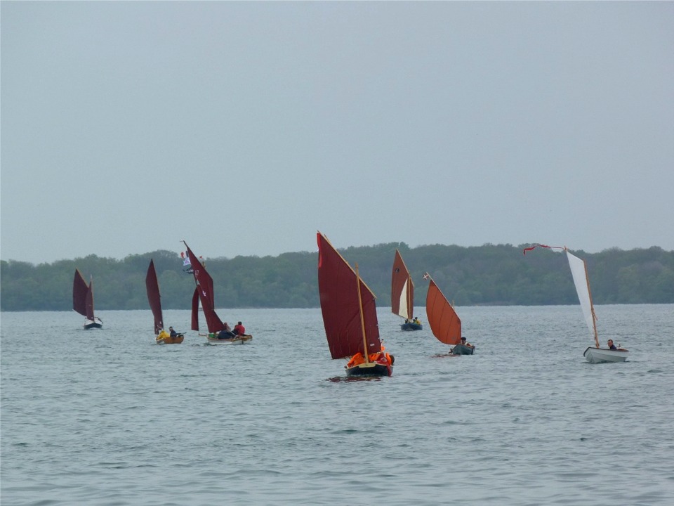 Zo, Chasse-Spleen, Thema, Cotentin, Tournepierre, Urpekoa et Malo. 