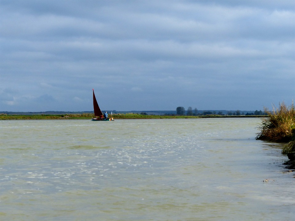 Un timide rayon de soleil perce les nuages pour animer un peu les couleurs de l'environnement si particulier de la Baie de Somme. 