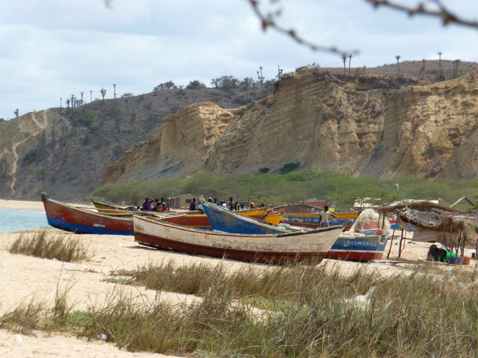 Je vous joins une carte postale des bateaux de p&ecirc;che c&ocirc;ti&egrave;re de Caboledo, au sud de Luanda, en Angola, o&ugrave; je viens de passer quelques jours en visite familiale. L'Angola est riche gr&acirc;ce notamment &agrave; son p&eacute;trole offshore, et le pays se reconstruit rapidement apr&egrave;s 10 ann&eacute;es de guerre d'ind&eacute;pendance (acquise en 1975, du Portugal) puis 30 ann&eacute;es d'une guerre civile sanglante. Les bateaux visibles ici sont des coques en bois de construction assez sommaire, de 4 &agrave; 6 m de long et propuls&eacute;es &agrave; l'aviron et/ou &agrave; l'aide d'un moteur hors-bord de faible puissance. 