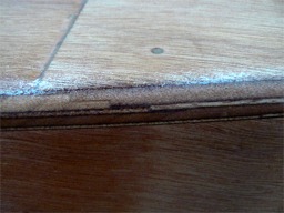 Cliquez pour une image plus grande.