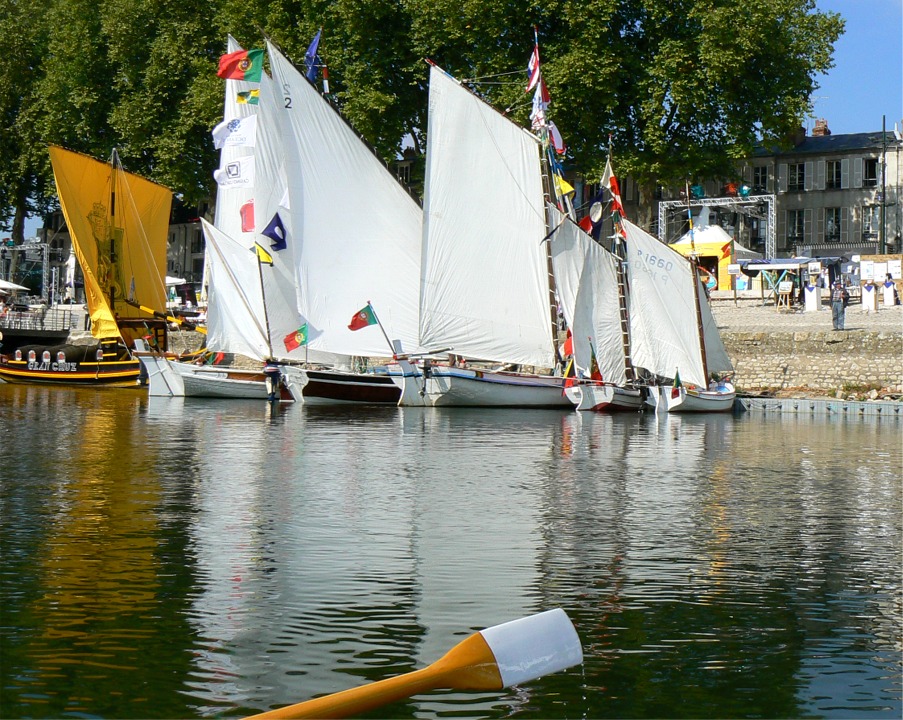Nous passons devant les bateaux invités de la délégation portugaise, provenant de la vallée du Douro et de la ria d'Aveiro. 