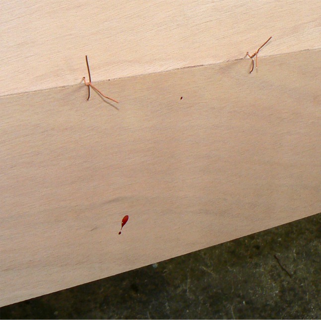 Damned ! Le sang a coulé... Je me suis piqué sur une suture en retournant le Skerry avec Igor... 