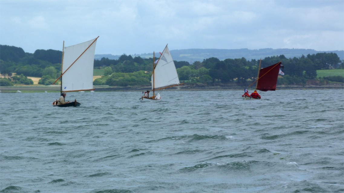 Trois Skerry sont dissimul&eacute;s dans cette image : trouvez-les ! 