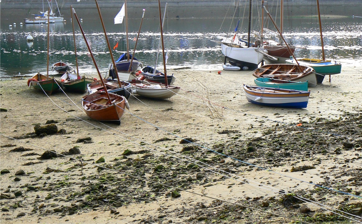 Toujours les "voile-aviron". 