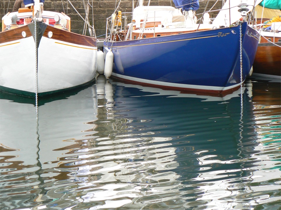 Quelques jolies coques au ponton de la belle plaisance. 