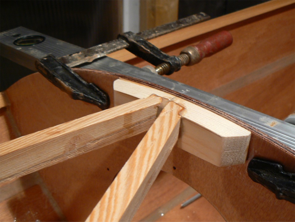 Gros plan sur l'extr&eacute;mit&eacute; avant des &eacute;longis : on voit la ligne du collage du scarf. 