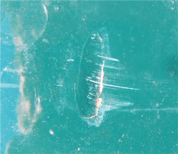 Cliquez pour une image plus grande.