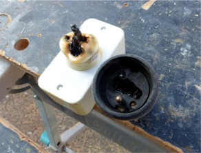 Cliquez pour une image plus grande.