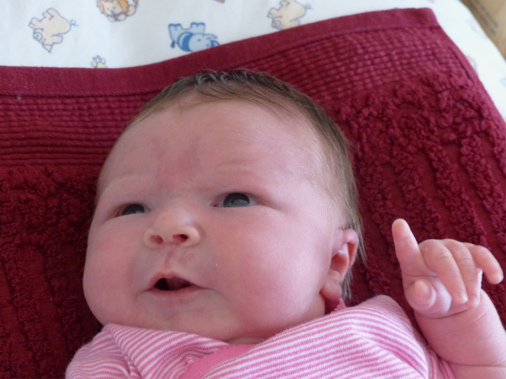 Souhaitons la bienvenue &agrave; la petite M&eacute;lanie, dont l'arriv&eacute;e nous remplit tous d'un grand bonheur ! J'ose esp&egrave;rer que son petit index n'est pas lev&eacute; pour nous accuser de l'&eacute;tat d&eacute;plorable dans lequel elle trouve le monde &agrave; son arriv&eacute;e... Nous avons en effet pas mal de probl&egrave;mes urgents &agrave; r&eacute;gler avant que le monde soit un endroit fr&eacute;quentable, et nous devons en particulier trouver tr&egrave;s vite comment lutter contre le d&eacute;ferlement du fondamentalisme islamique qui pr&eacute;tend maintenant oblit&eacute;rer des mill&eacute;naires de civilisation en M&eacute;sopotamie... Ah ! petite M&eacute;lanie, qu'allons-nous faire ? 