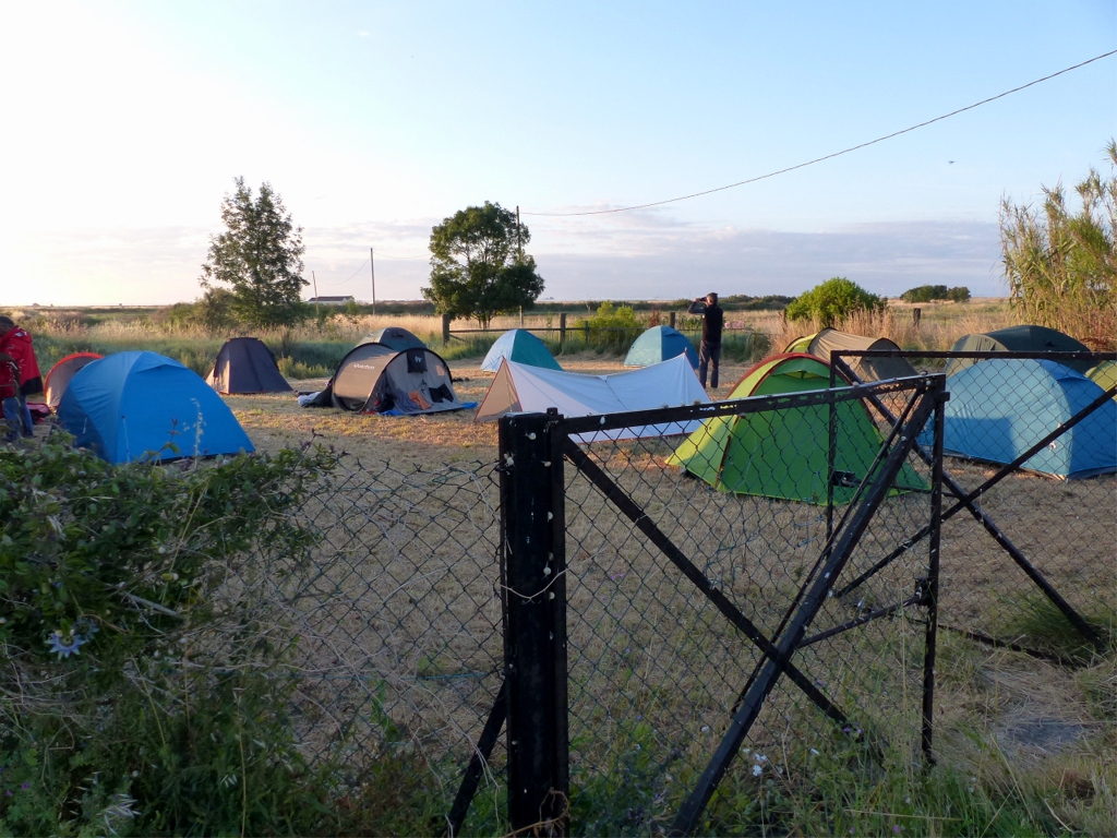 Nous bénéficions d'un terrain clôturé pour notre camping privé à Brouage. 