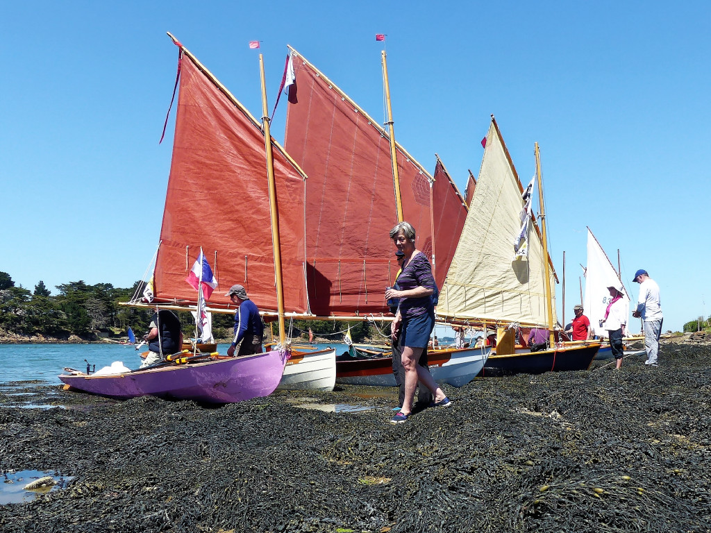 Interruption des op&eacute;rations pour 4 jours du fait de la Semaine du Golfe (avec un "e", je vois tout plein de gens l'&eacute;crire sans, et je ne vois gu&egrave;re de clubs ou de caddies dans les bateaux...) Cette photo montre l'un des nombreux arr&ecirc;ts de regroupement de la flottille pour attendre les plus lents et/ou la renverse. En effet, les courants dictent le sens de navigation dans le Golfe. 