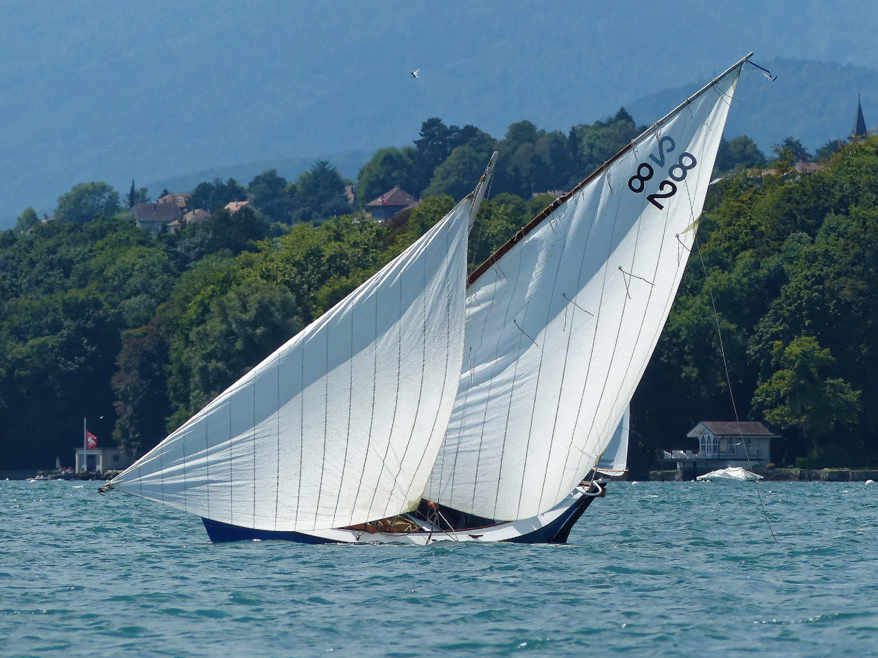 La bette venue de Marseille a de jolies voiles très creuses. 
