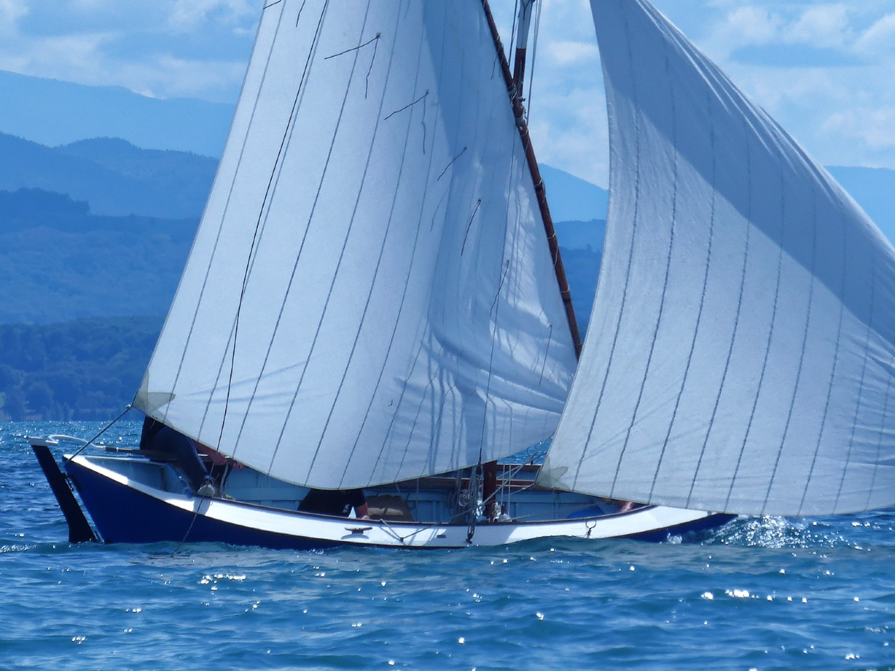 Encore les voiles étonnament creuses de la bette. 