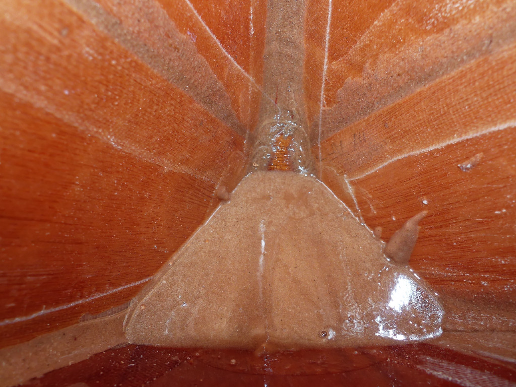 Vue de la surface du rempli d'extr&eacute;mit&eacute; arri&egrave;re, comme si vous y &eacute;tiez ! 