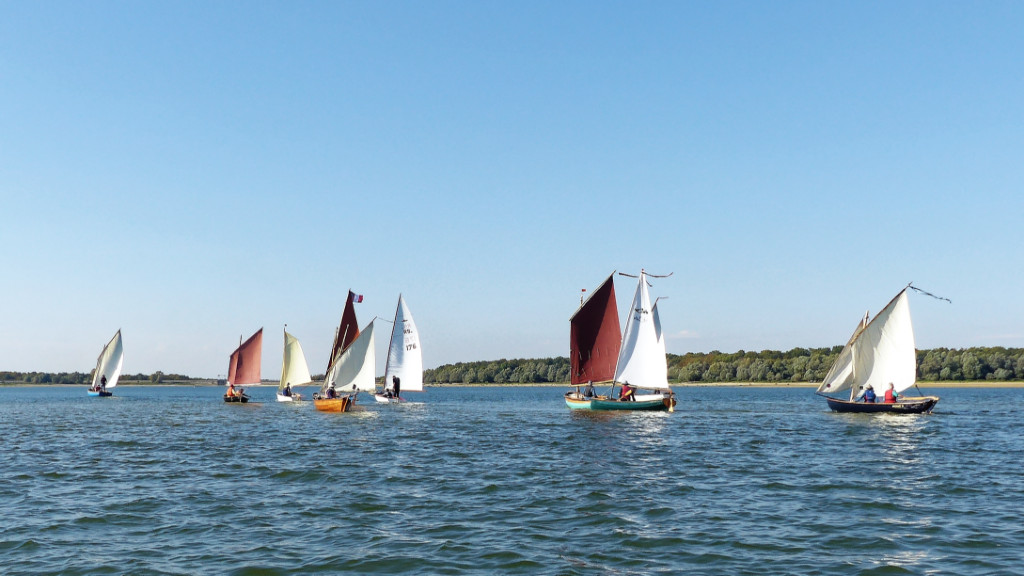 Et on a terminé la saison en allant à "Entre Terre et Der" sur le lac du Der-Chantecoq. Voir le compte-rendu. 