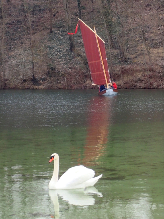 Jolie photo avec ce cygne (de piste) au premier plan. Nous sommes 4 adultes &agrave; bord de Gandalf, ballast plein, et on voit que la flottaison est bien enfonc&eacute;e. 