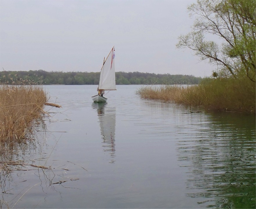 "La Marie Pupuce" s'engage dans un passage dans les roseaux. 