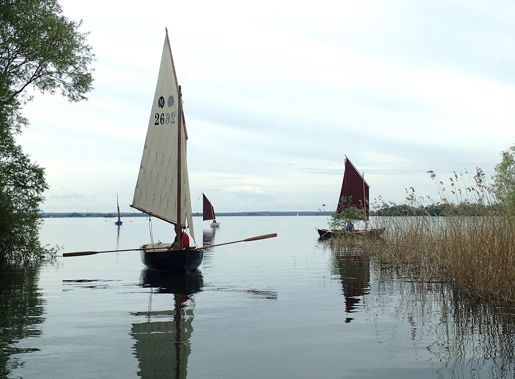 Pinocchio embouque le "bayou".