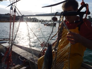 Cliquez pour une image plus grande.