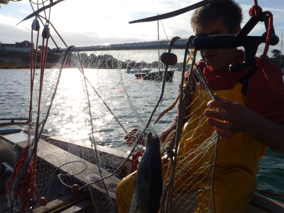 Quelques petits lieux se sont aussi laissés prendre.