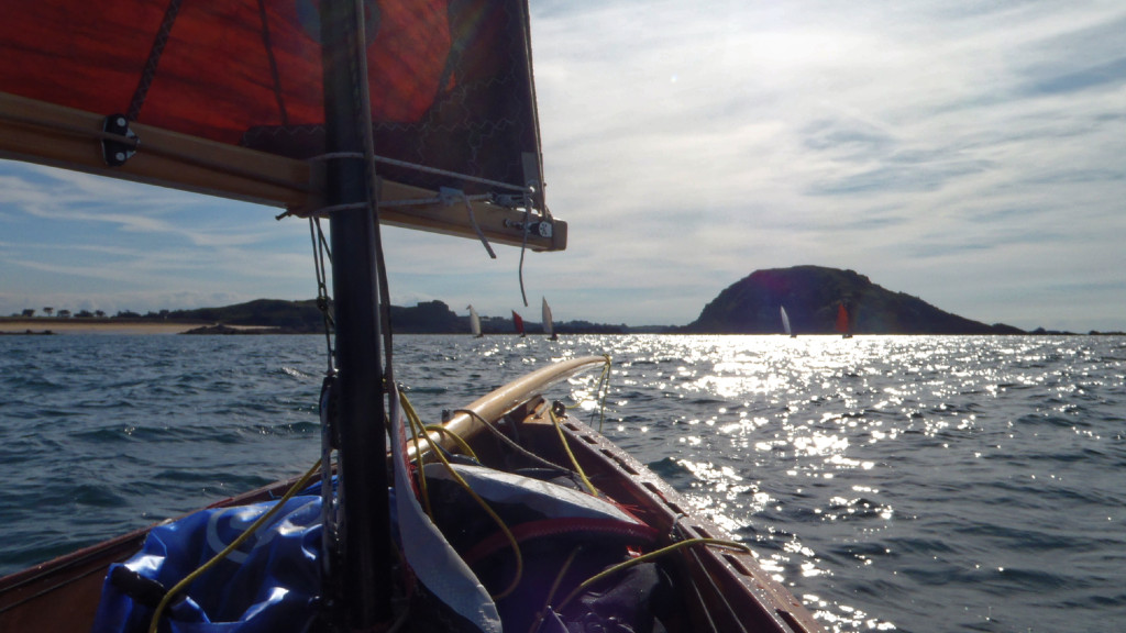 Arrivés à basse mer devant le havre de Rothéneuf, il nous est impossible d'entrer, et nous poursuivons notre route vers la Pointe du Groin. J'ai pris cette photo sur le retour vers Rothéneuf. Il s'agit sans doute du Grand Chevreuil, mais je ne suis plus très sûr. 