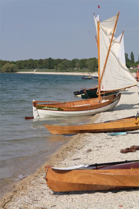 Jolie collection de bois vernis sur la grève du Mesnil-St-Père. 