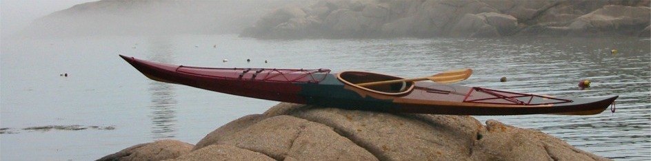 Night Heron Cousu-collé